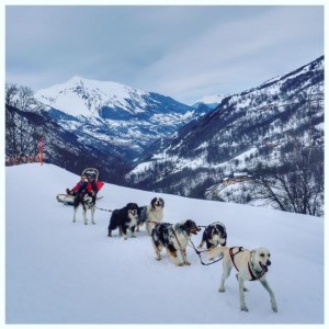 balade en traineau à chiens les ménuires